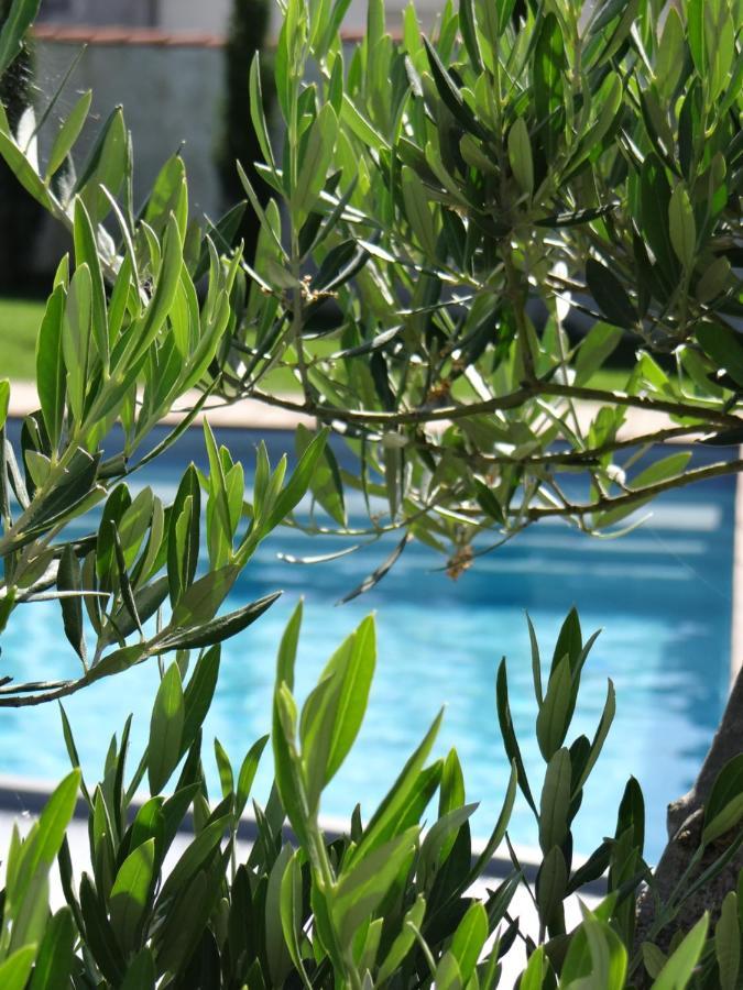 Bed and Breakfast Les Marguerites Champdolent Esterno foto